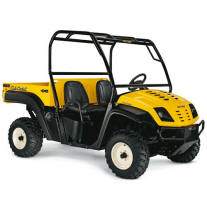 UTV Cub Cadet.